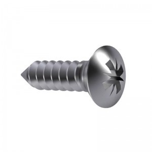 DIN 7983 Oval Head Self Tapping Screw